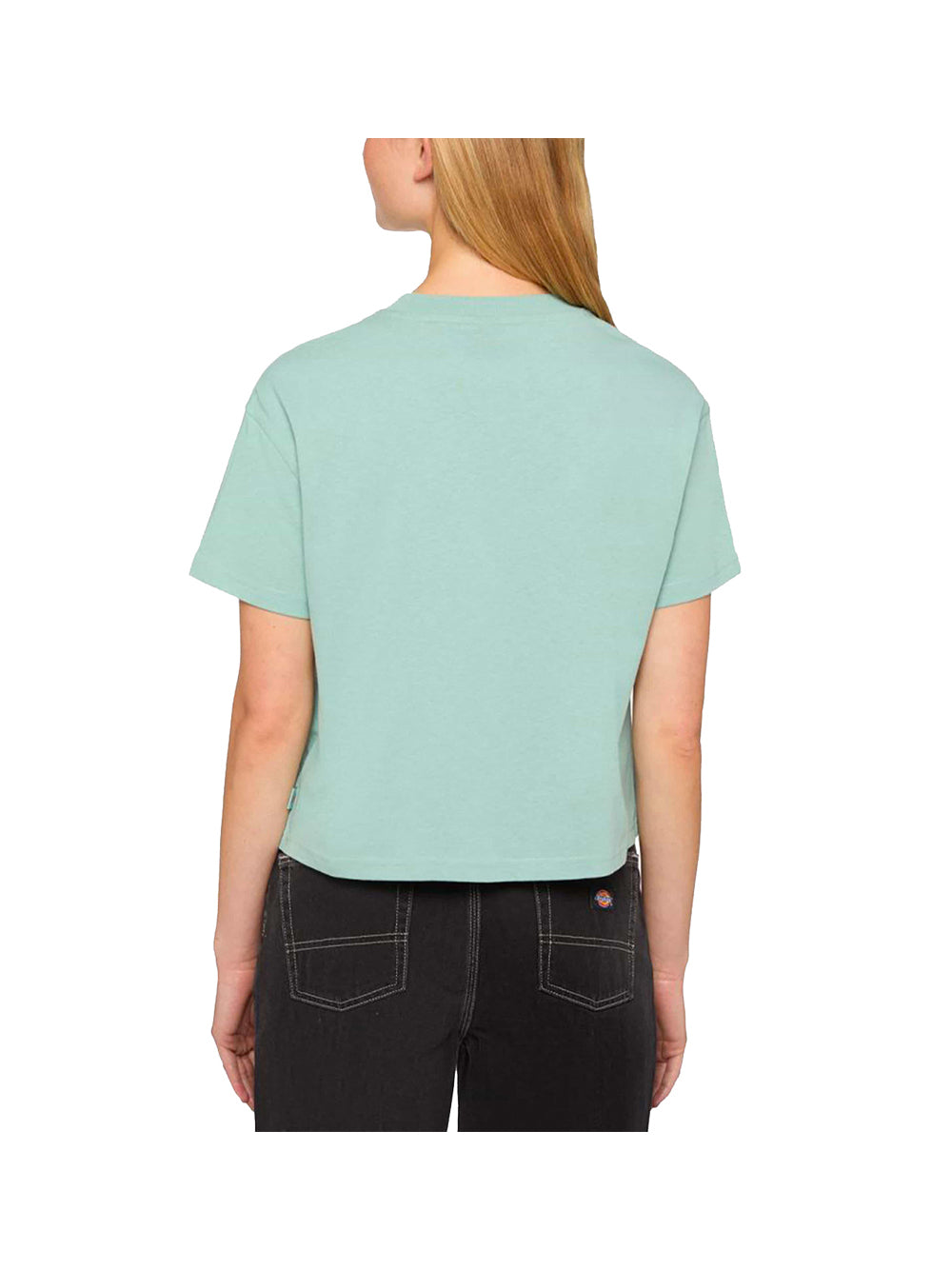 Dickies T-Shirt Oakport Boxy Ss Tee Mushroom Donna - Blu