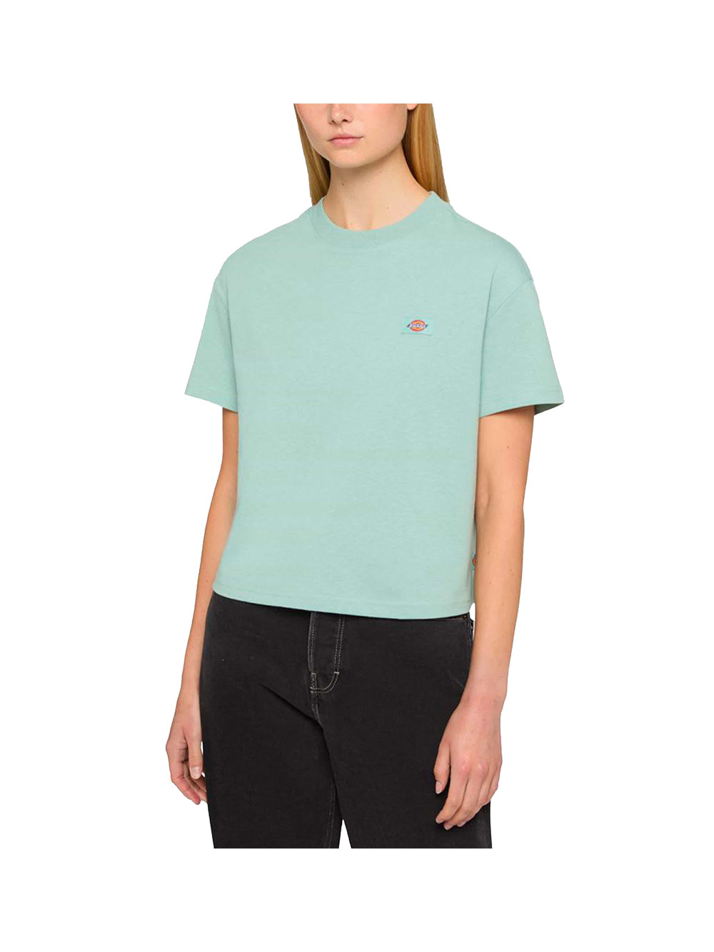 Dickies T-Shirt Oakport Boxy Ss Tee Mushroom Donna - Blu