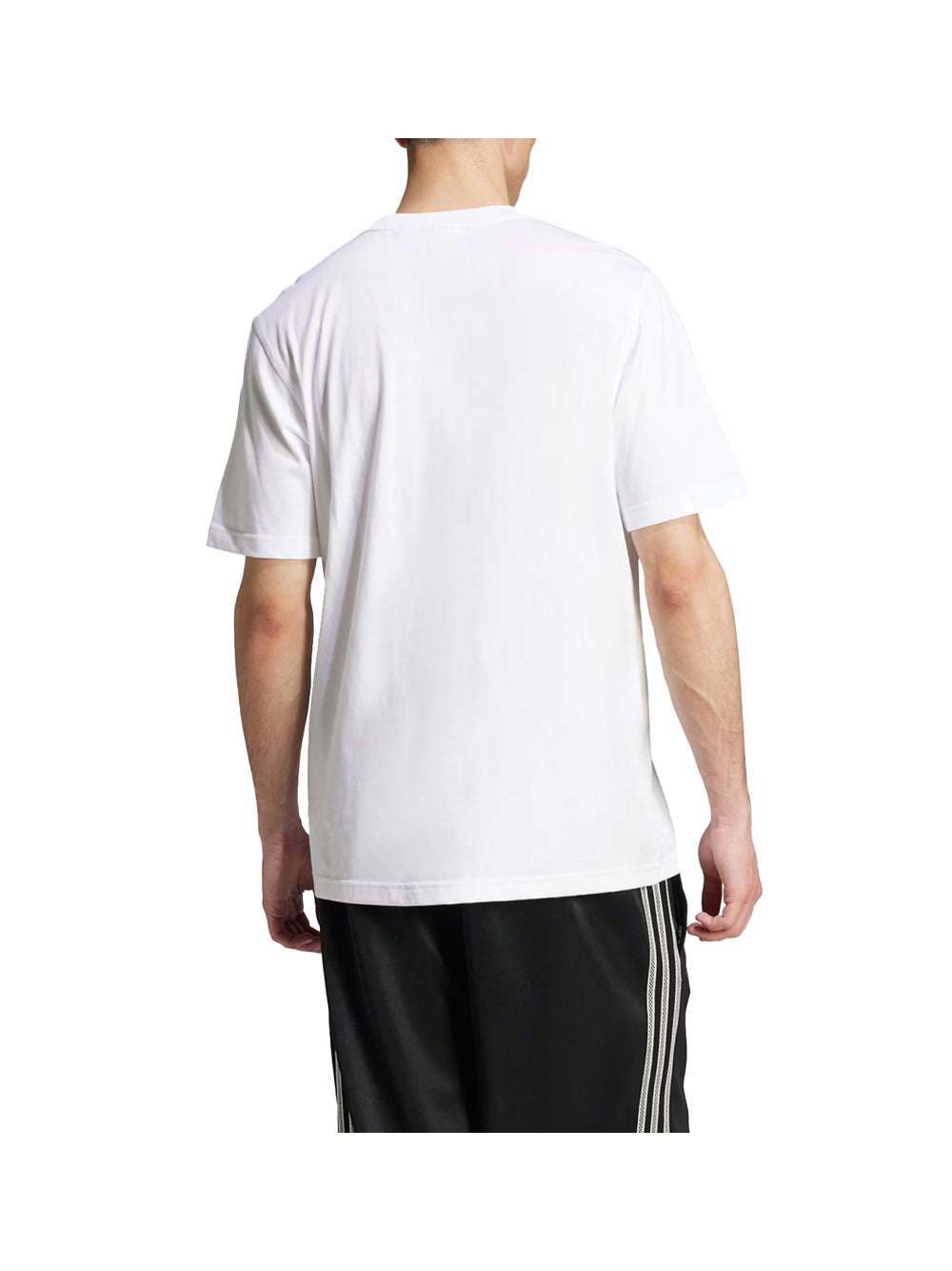 ADIDAS T-Shirt Trefoil Ess Tee Uomo - Bianco