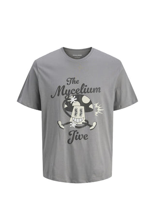 JACK&JONES PRE T-Shirt Jack&Jones Jjmasao Tee Ss - Grigio