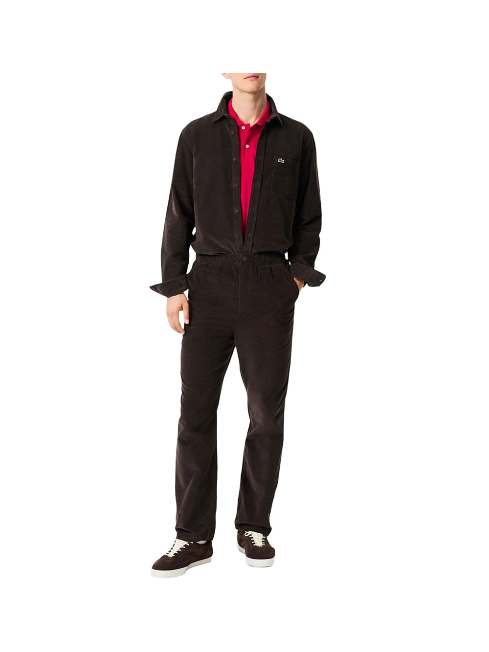 LACOSTE Lacoste Pantaloni in velluto a coste regular fit Marrone Scuro