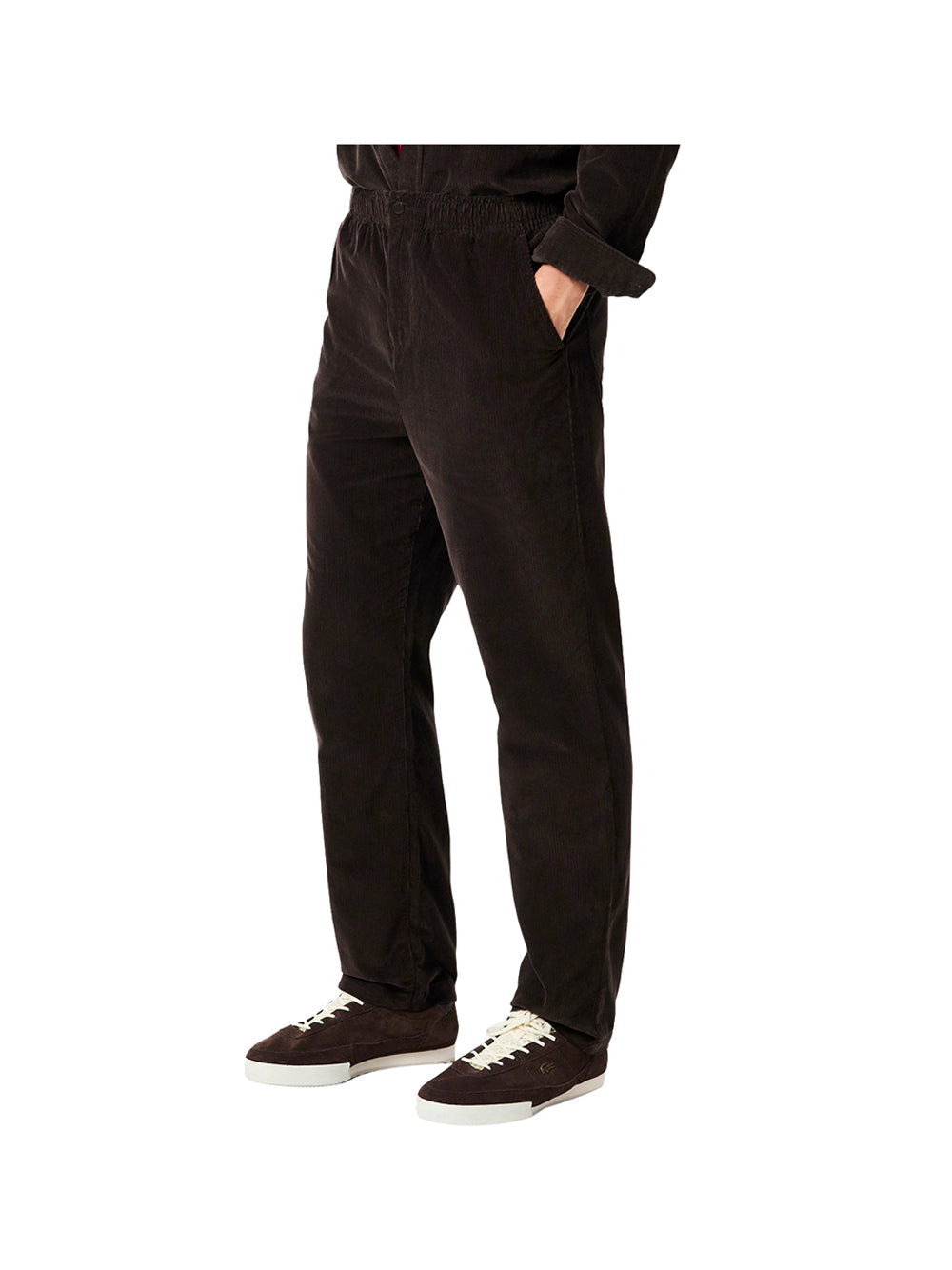 LACOSTE Lacoste Pantaloni in velluto a coste regular fit Marrone Scuro