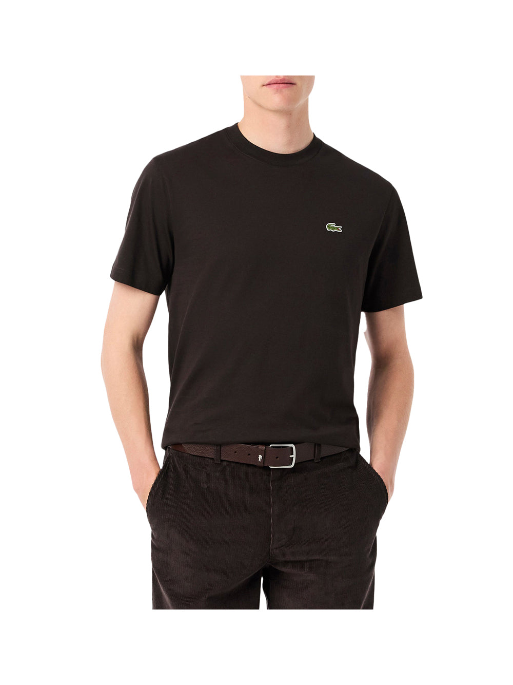 LACOSTE Lacoste T-shirt in cotone Marrone