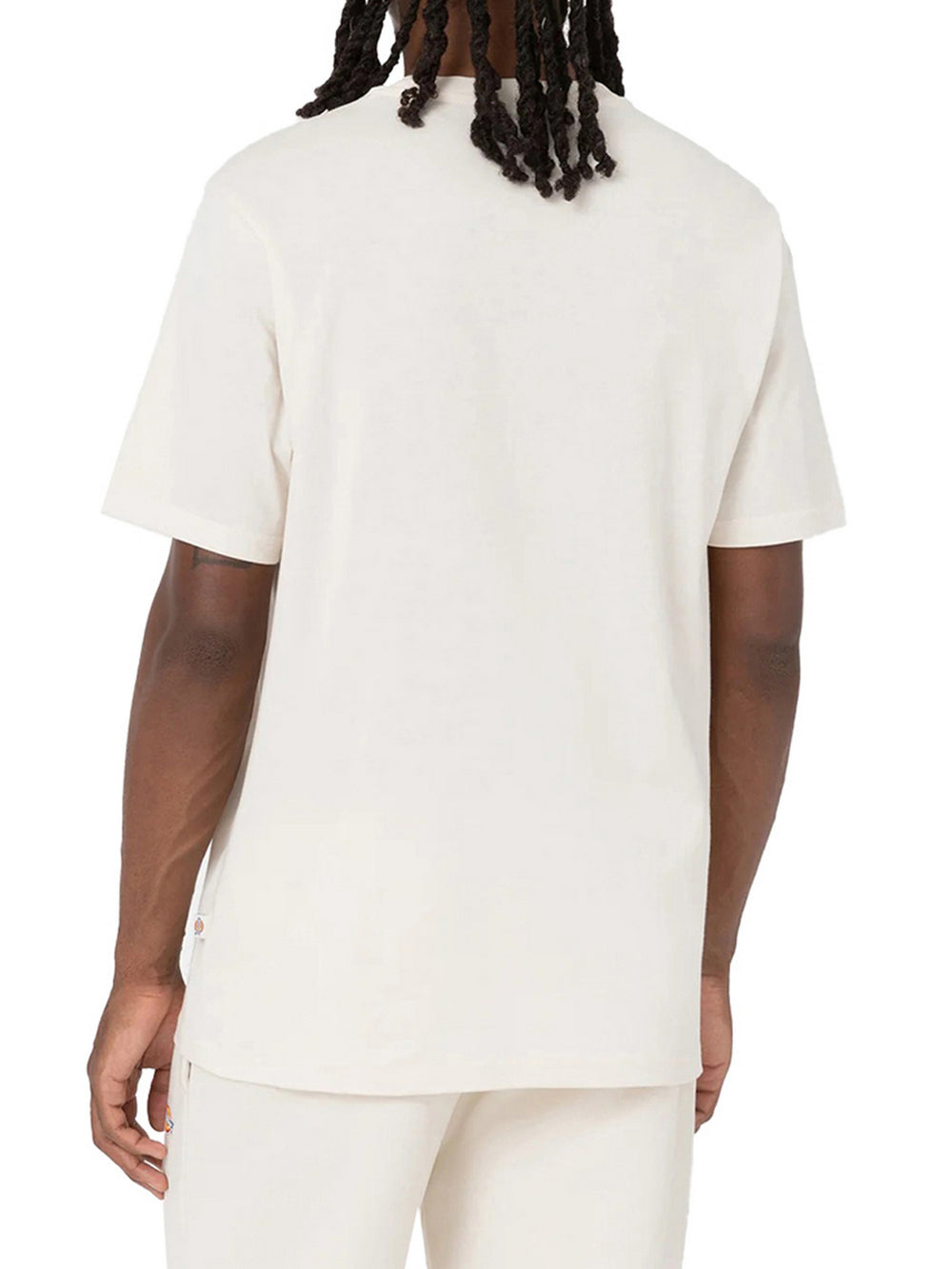 Dickies T-Shirt Dickies Mapleton - Crema