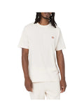 DICKIES T-Shirt Dickies Mapleton - Crema