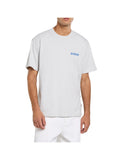 DICKIES T-Shirt Dickies Dry Ridge - Grigio Chiaro