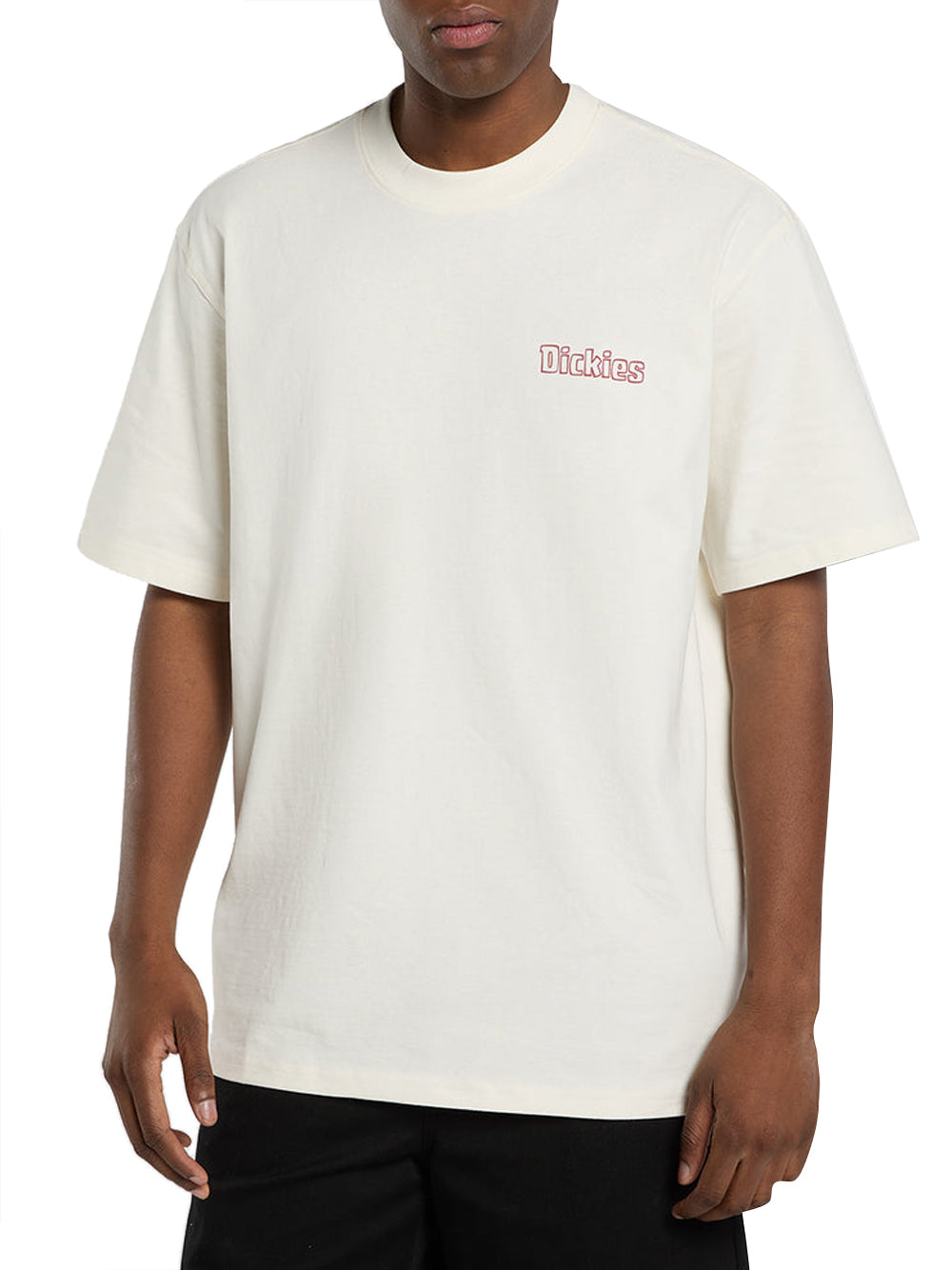 DICKIES T-Shirt Fairlawn Dickies - Beige/Bianco