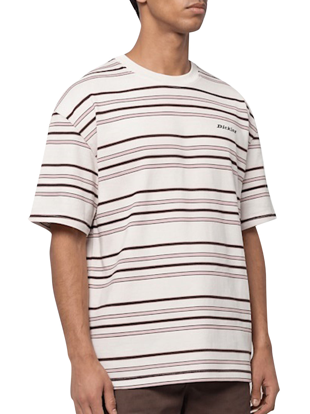 DICKIES T-Shirt A Righe East Liberty Dickies - Beige/Multi