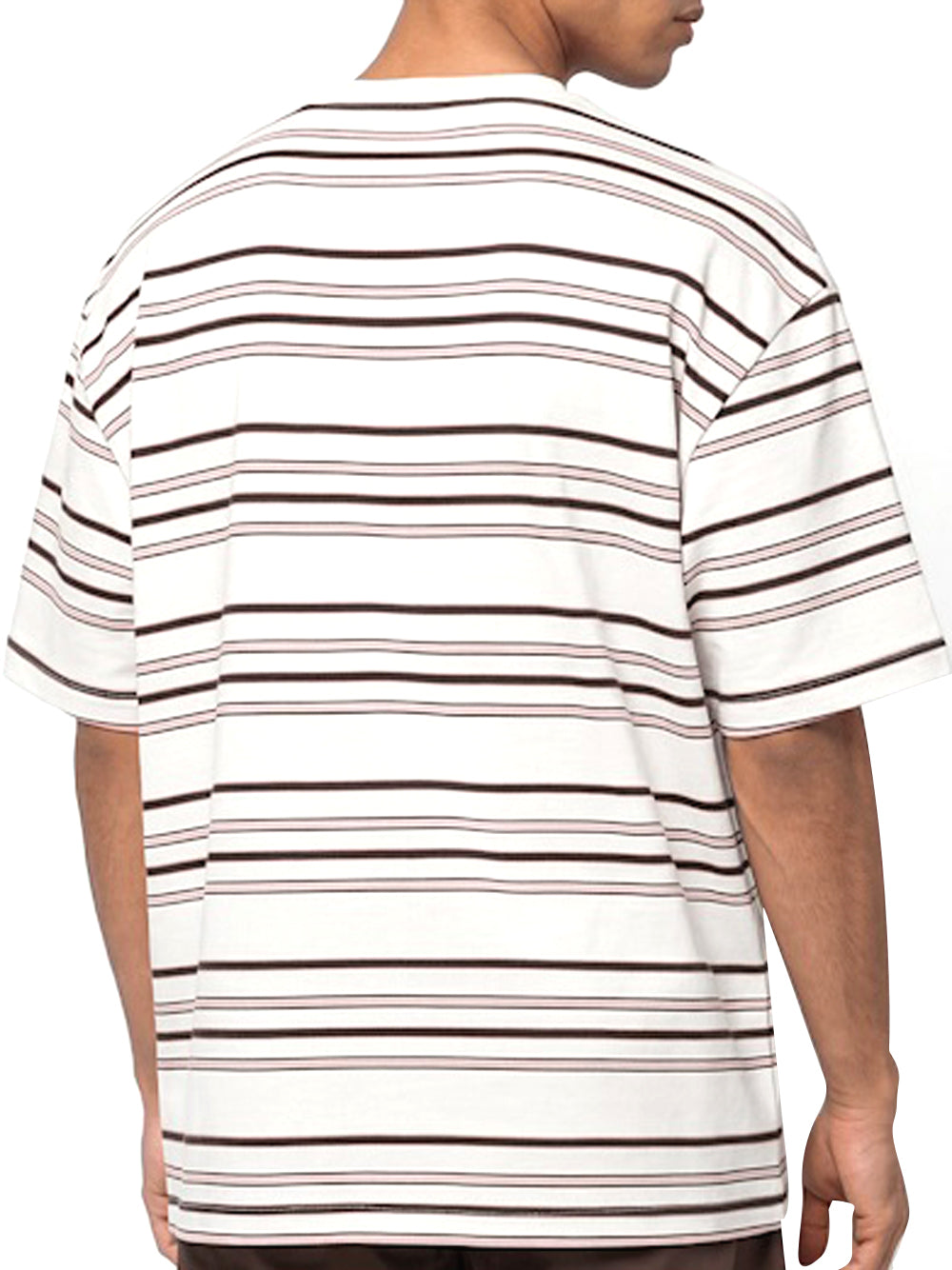 DICKIES T-Shirt A Righe East Liberty Dickies - Beige/Multi