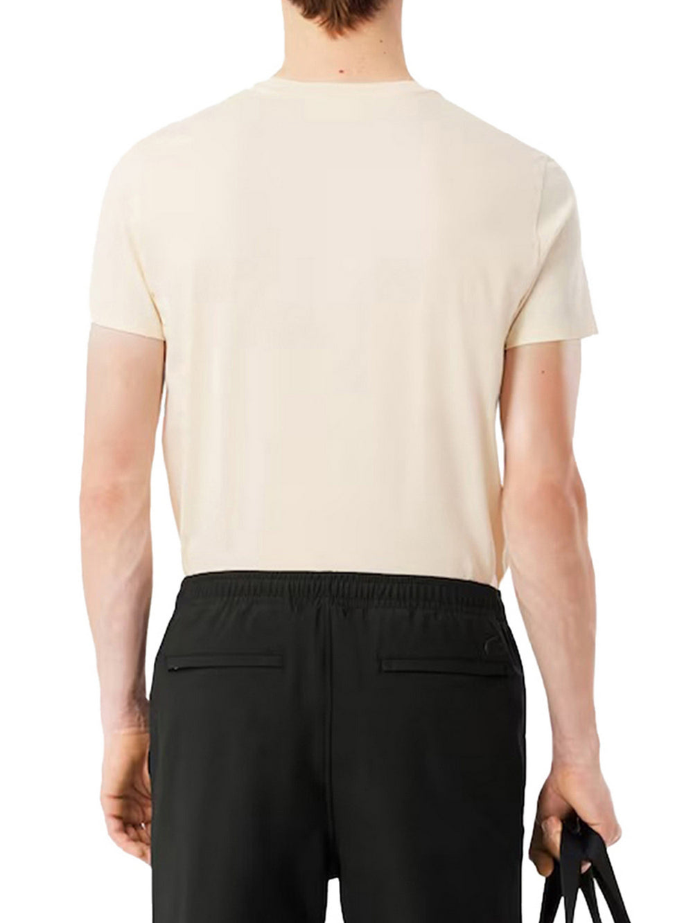 Lacoste T-Shirt Lacoste In Cotone Prima - Beige