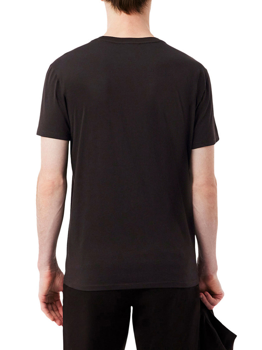 Lacoste T-shirt Lacoste In Cotone Pima - Marrone