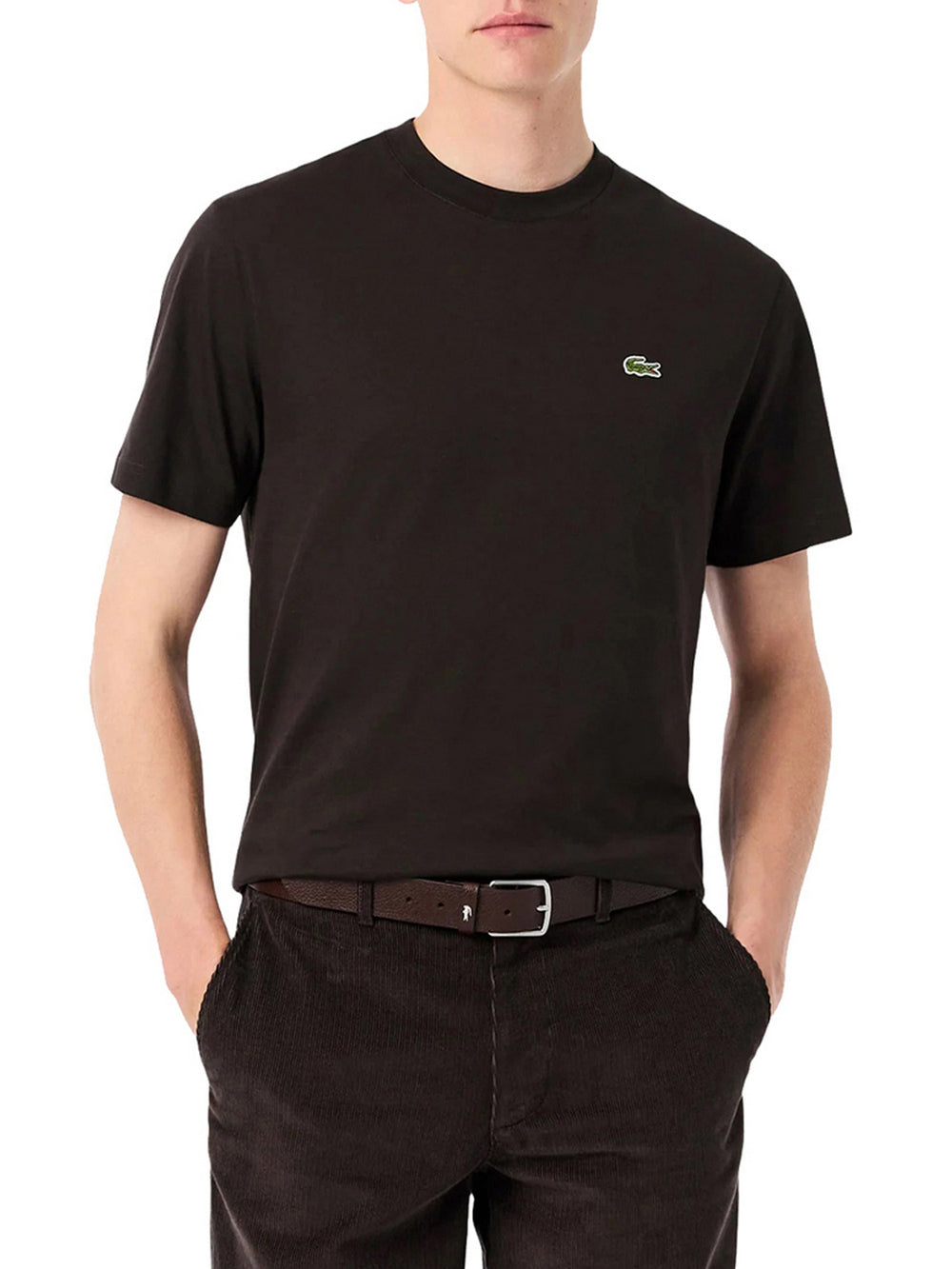 Lacoste T-Shirt Lacoste In Cotone - Marrone