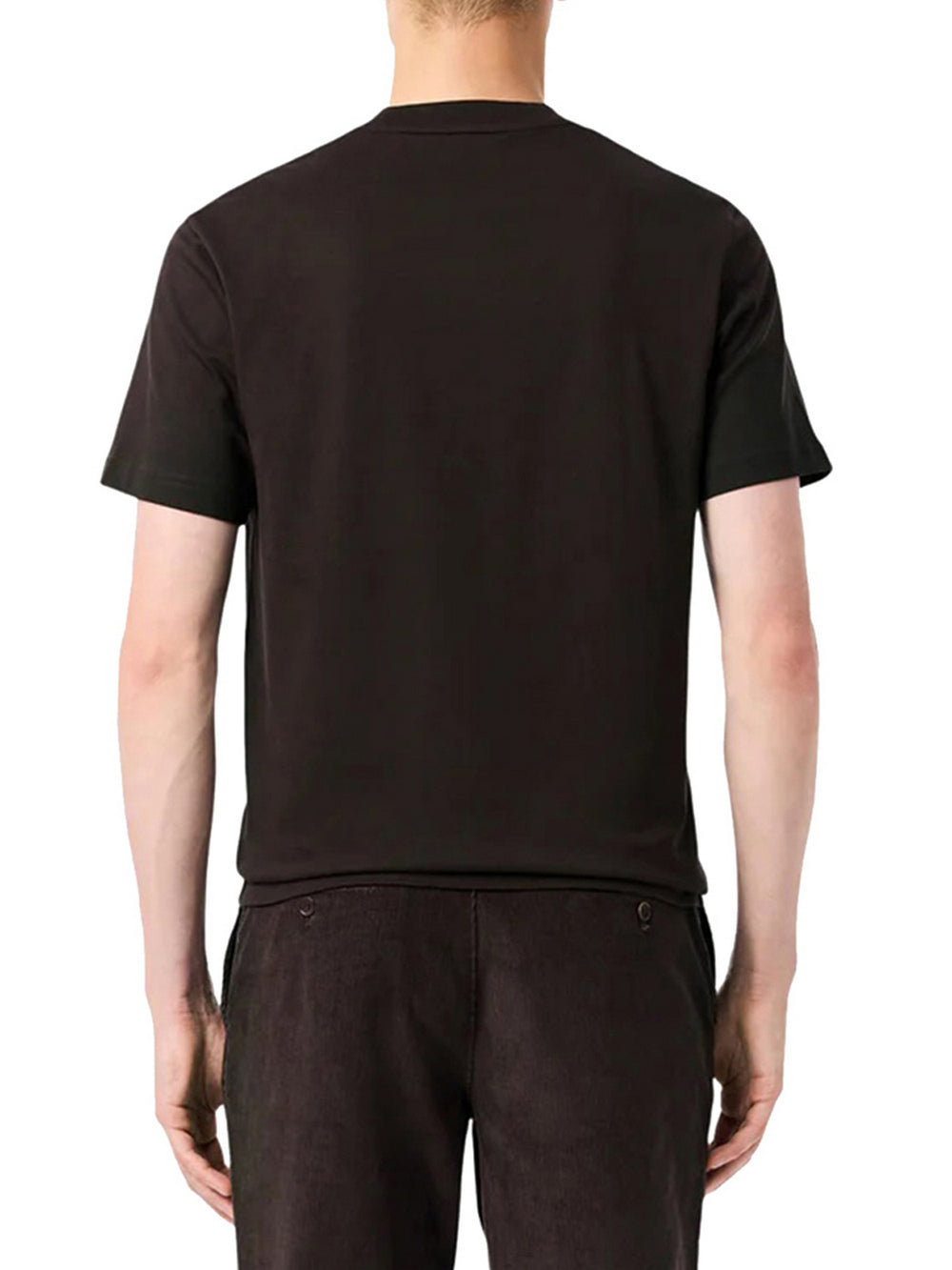 Lacoste T-Shirt Lacoste In Cotone - Marrone