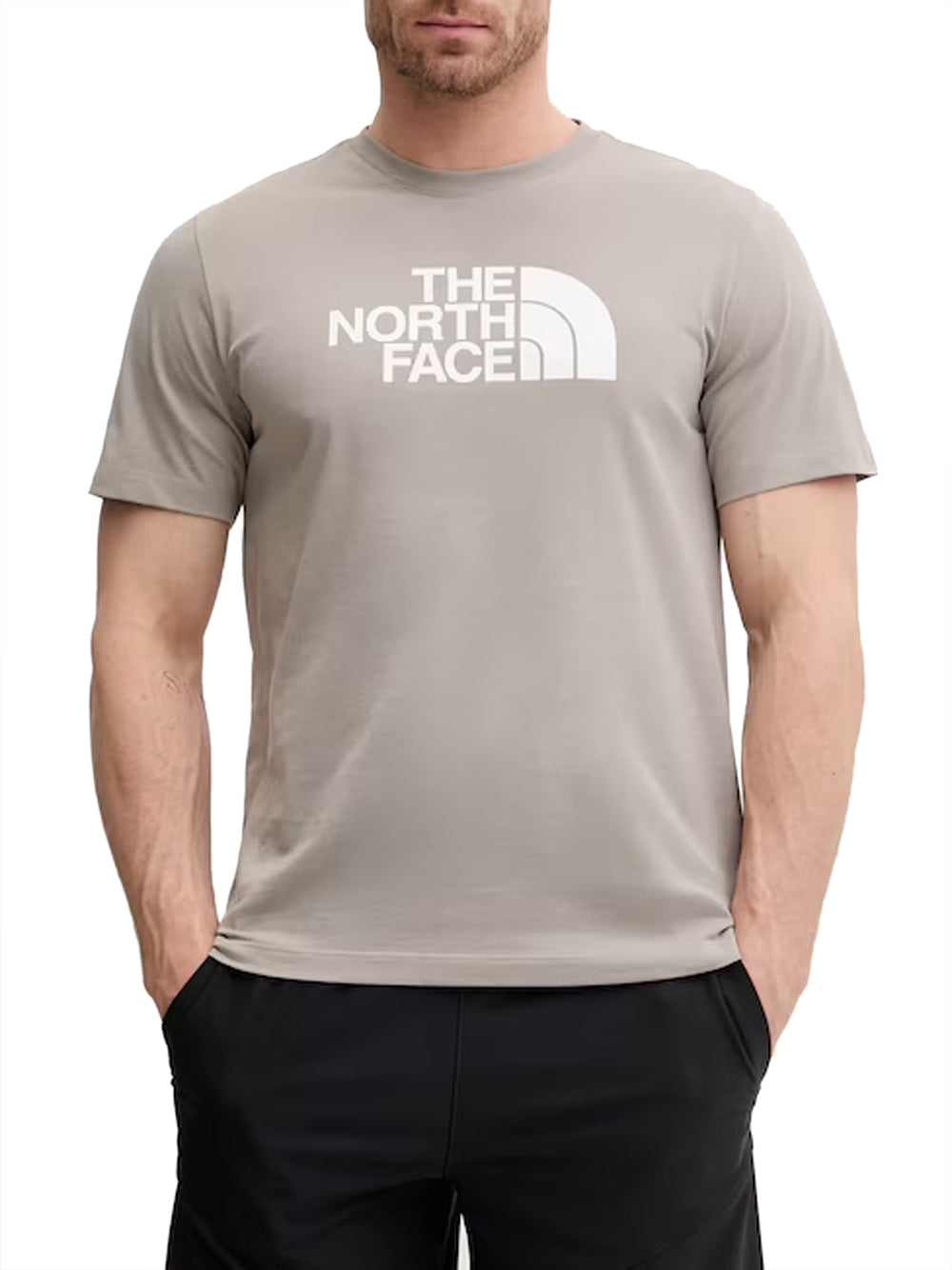 THE NORTH FACE T-Shirt Evolution Half Dome Regular The North Face - Grigio/Beige
