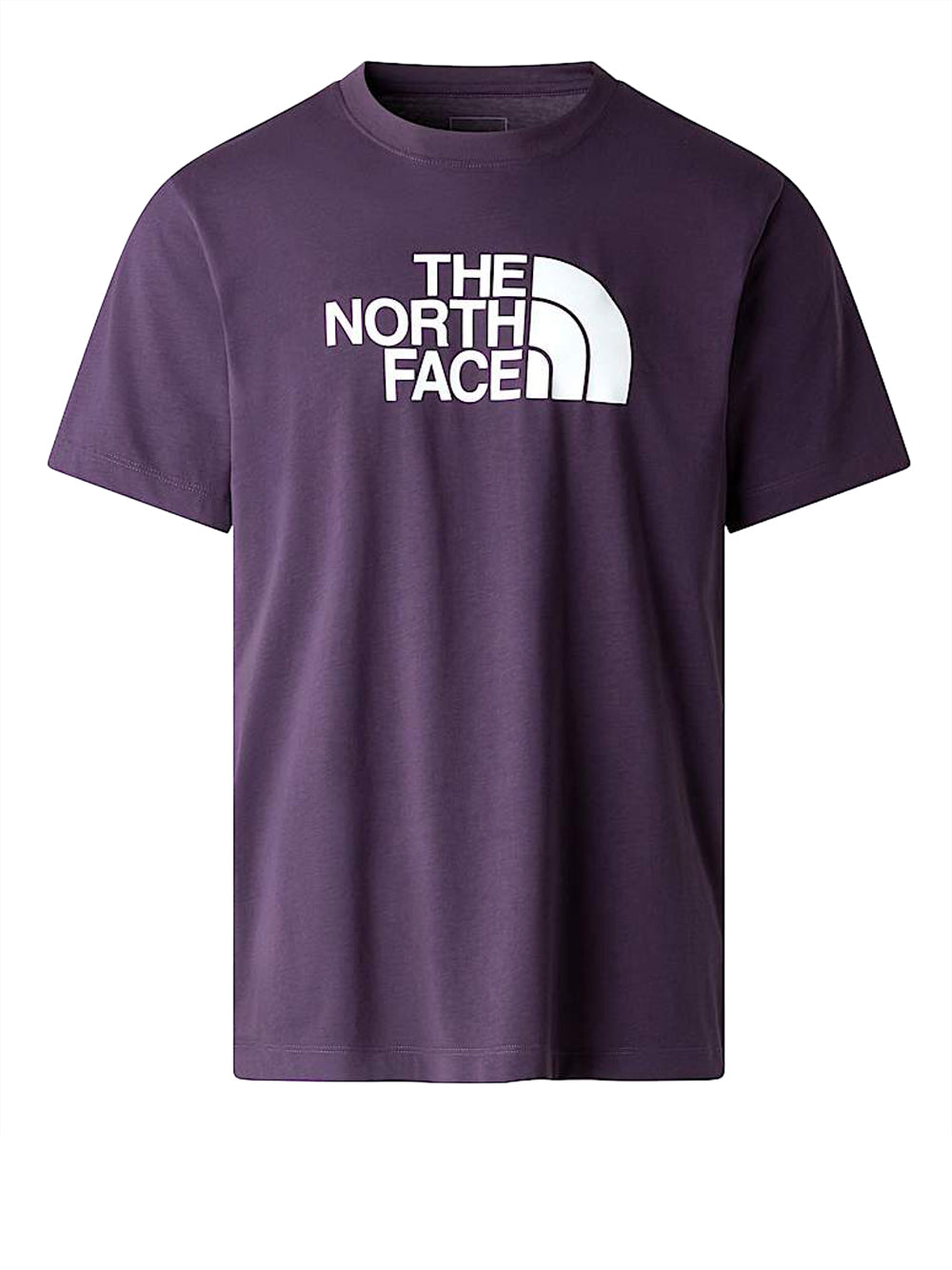 THE NORTH FACE T-Shirt Evolution Half Dome Regular The North Face - Viola