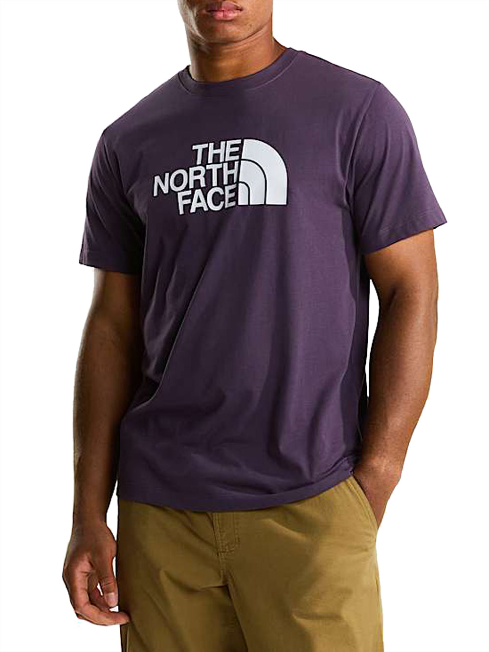THE NORTH FACE T-Shirt Evolution Half Dome Regular The North Face - Viola