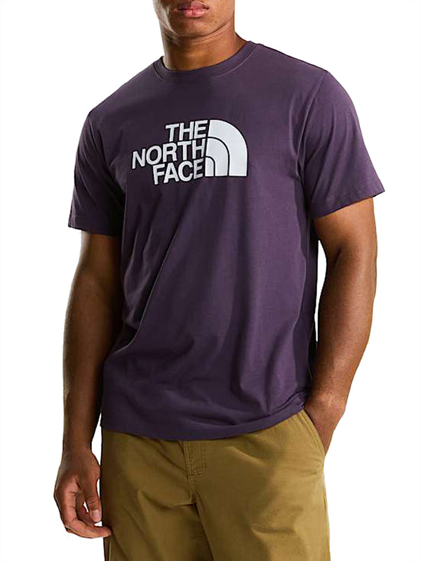 THE NORTH FACE T-Shirt Evolution Half Dome Regular The North Face - Viola