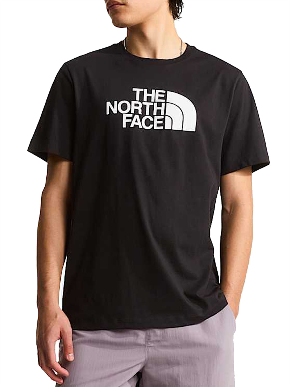 THE NORTH FACE T-Shirt Evolution Half Dome Regular The North Face - Nero