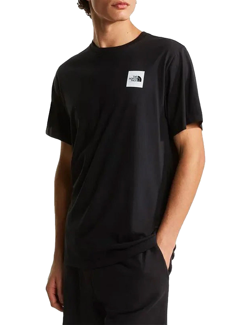 THE NORTH FACE T-Shirt Evolution Box Half Dome Regular The North Face - Nero