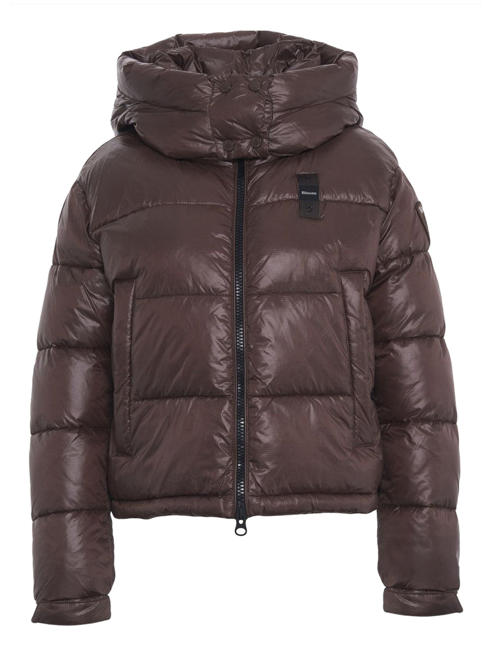 BLAUER Piumino Blauer Corto Imbottito Gloria - Marrone
