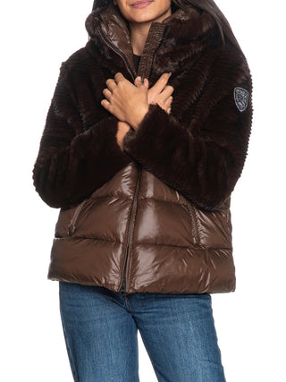 BLAUER Piumino Fanevil Blauer - Marrone