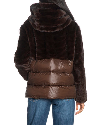 BLAUER Piumino Fanevil Blauer - Marrone