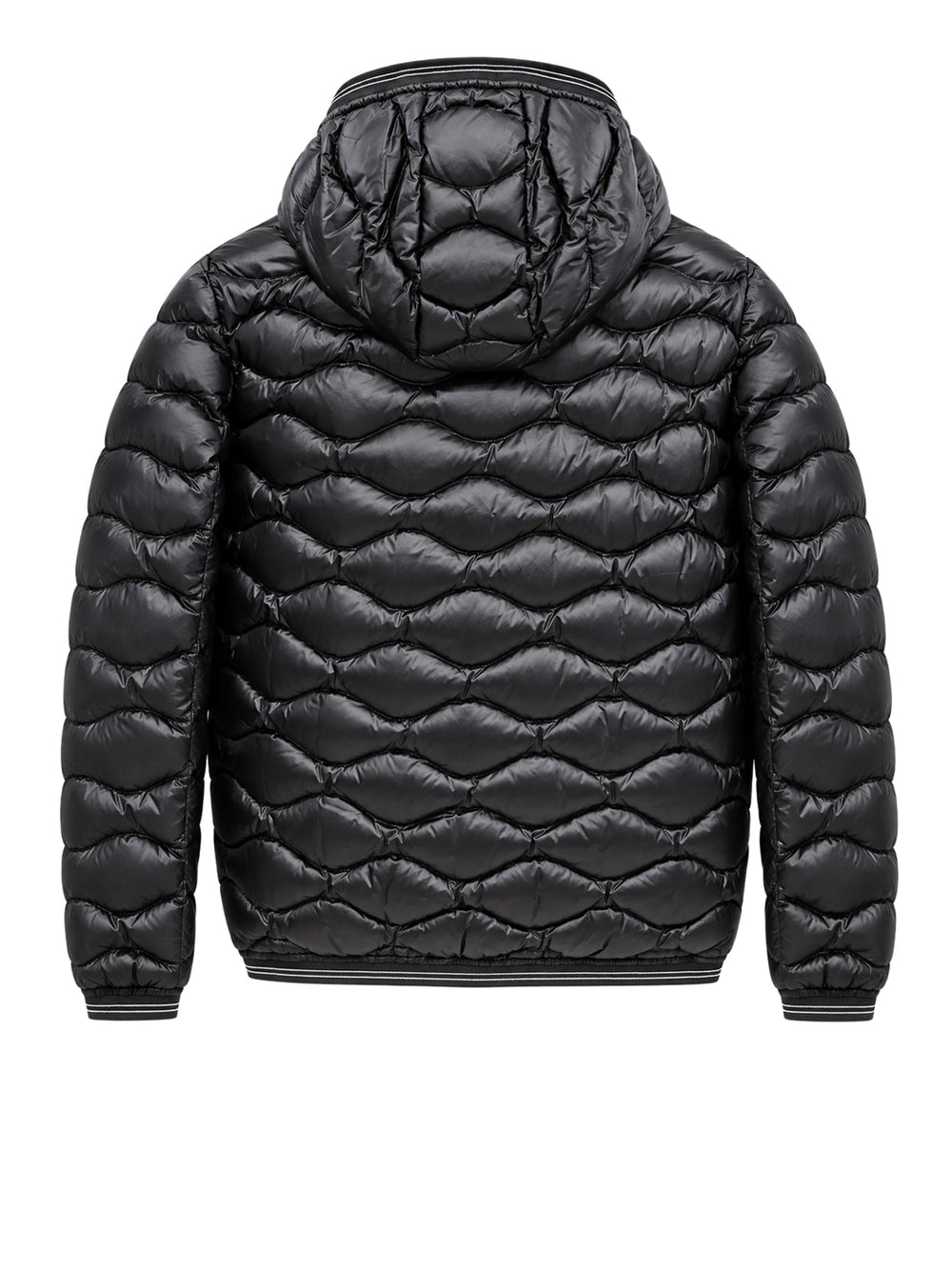 BLAUER Piumino Lowell Junior Blauer - Nero/Marrone