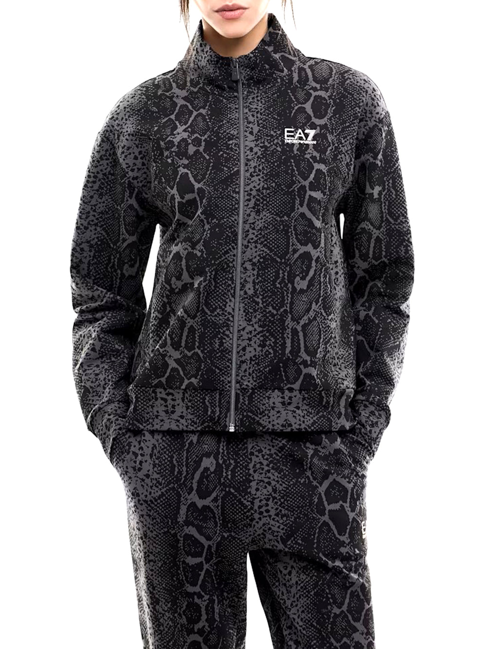 Ea7 Felpa Graphic In Jersey Di Cotone EA7 - Fancy Asphalt