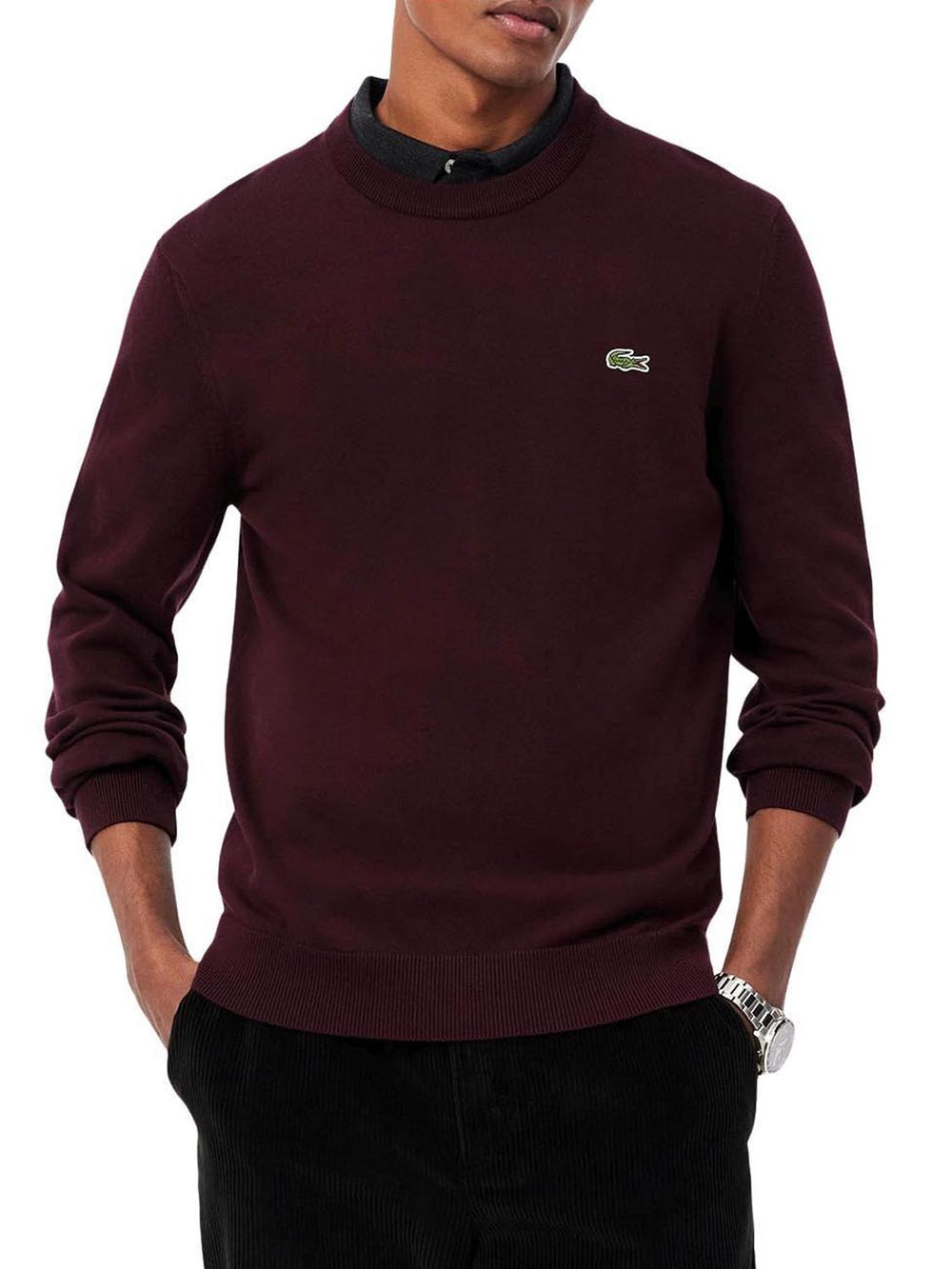 Lacoste Maglione Lacoste Logo Frontale Bordeaux