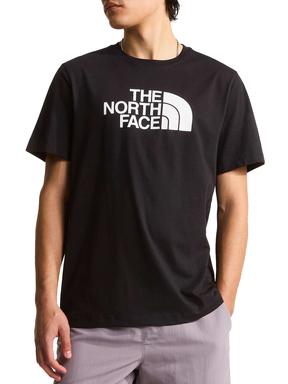 THE NORTH FACE T-shirt Evolution Half Dome Regular Nero