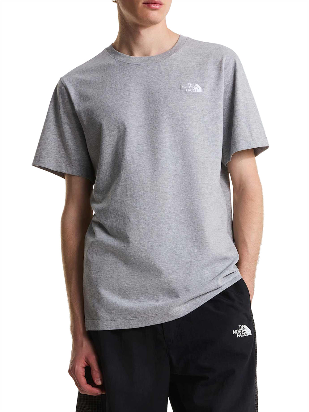 THE NORTH FACE T-shirt Evolution Simple Dome Regular Grigio