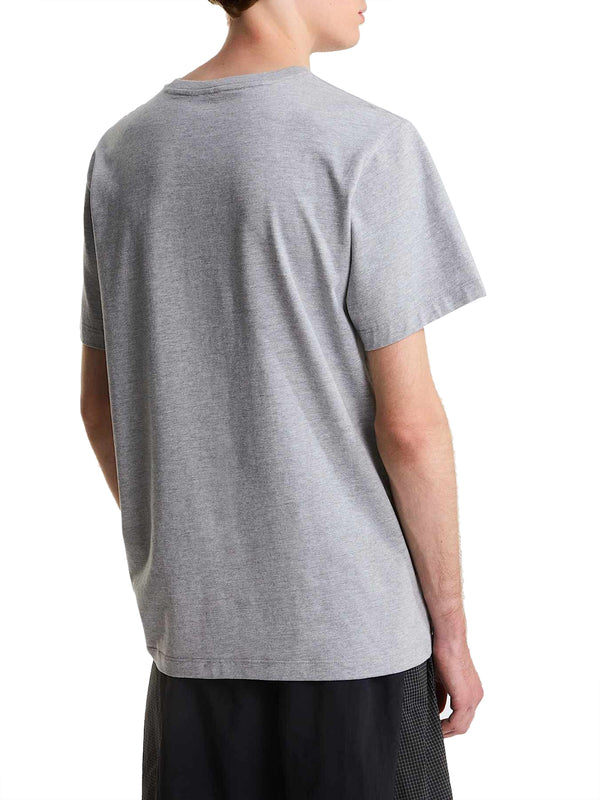 THE NORTH FACE T-shirt Evolution Simple Dome Regular Grigio