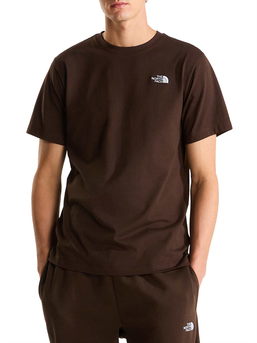 THE NORTH FACE T-shirt Evolution Simple Dome Regular Marrone