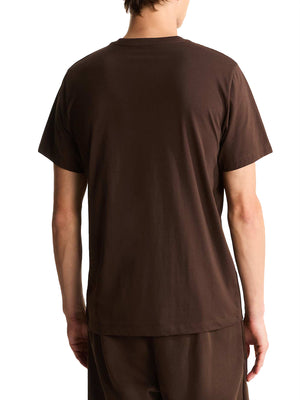 THE NORTH FACE T-shirt Evolution Simple Dome Regular Marrone