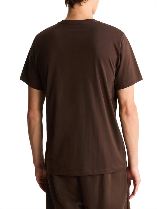 THE NORTH FACE T-shirt Evolution Simple Dome Regular Marrone