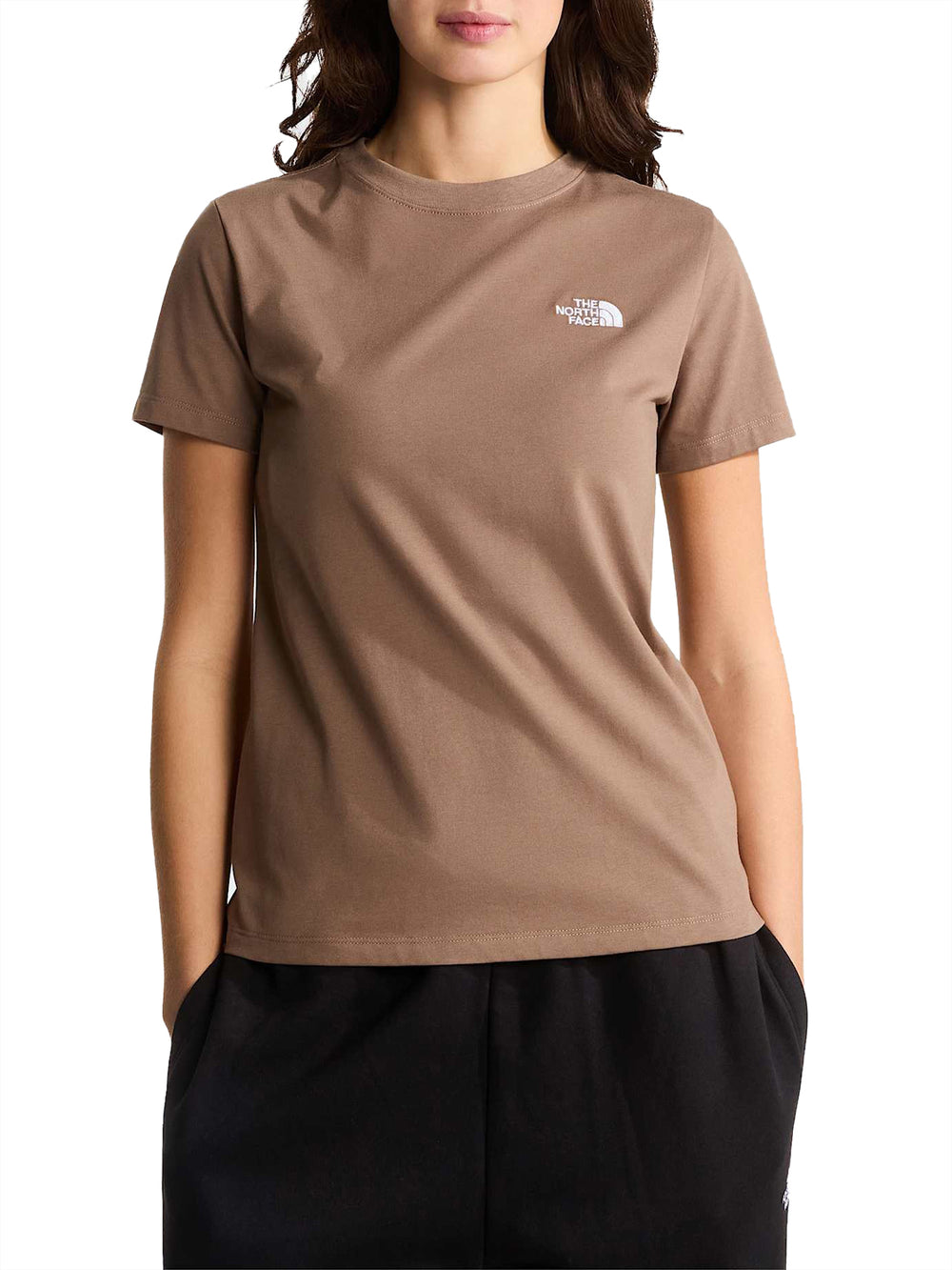 THE NORTH FACE The Noth Face T-shirt Evolution Simple Dome Slim Marrone