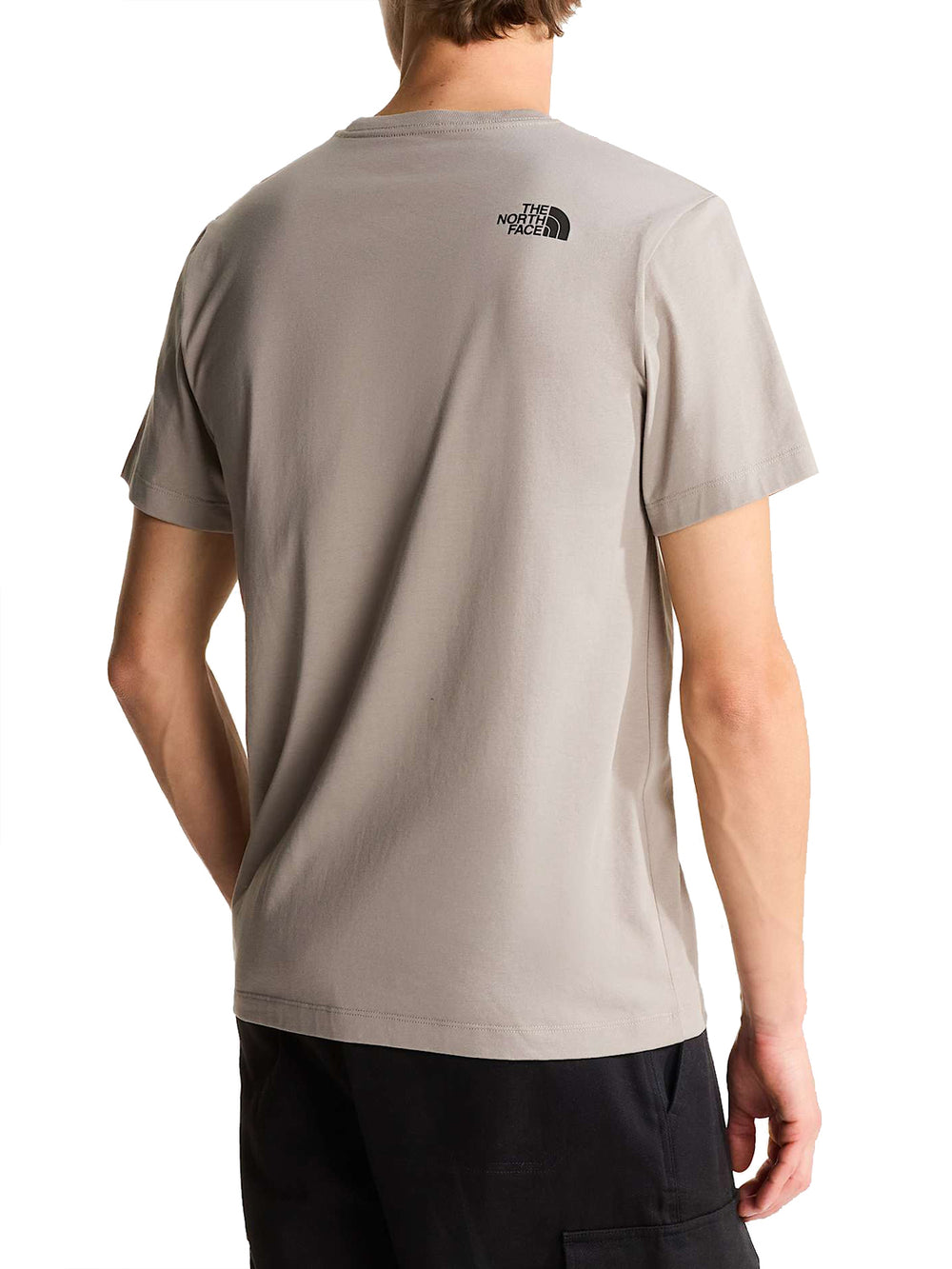 THE NORTH FACE T-Shirt Evolution Box Half Dome Regular - Grigio